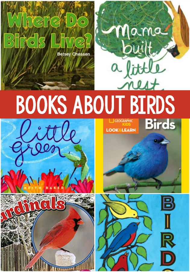Bird books for preschoolers