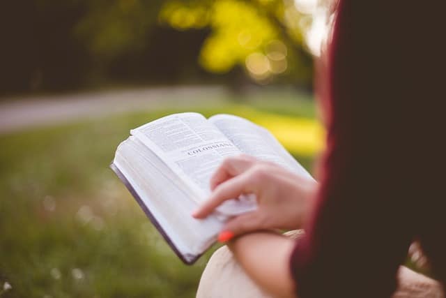 Books to read in the bible