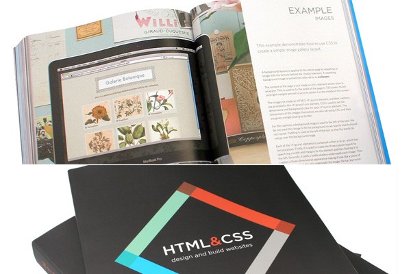 Website design books for beginners