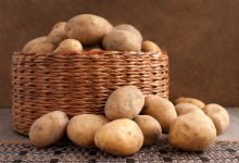 Come conservare le cipolle senza farle germogliare