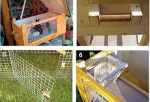 Come costruire una casetta per conigli
