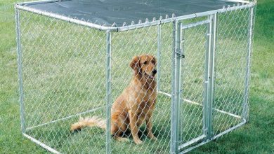 Come costruire una gabbia per cani
