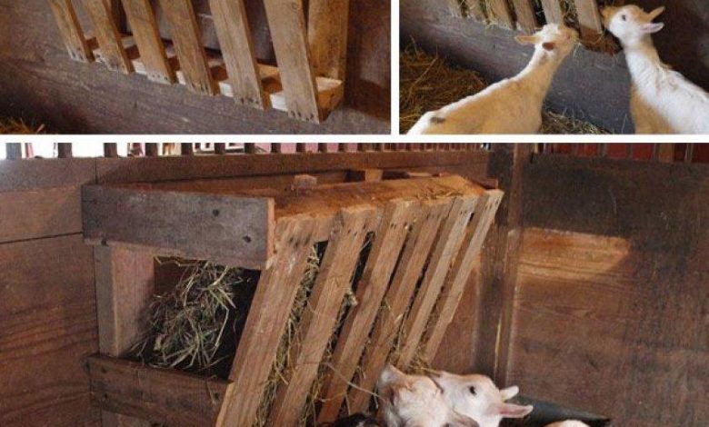 Come costruire una mangiatoia per capre in legno
