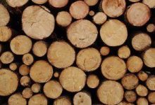 Come piegare il legno fai da te