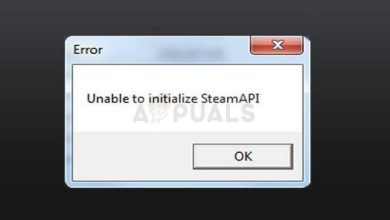 Unable to initialize steam api come risolvere
